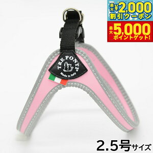 yő2000~OFFN[||Cg+5{zg|eB TREPONTI tBbrA tNeBu ^pn[lX 2.5 sN