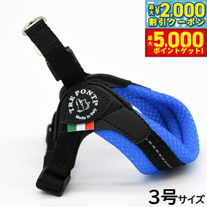 yX|Cgő46{I1118Izg|eB TREPONTI tBbrA AWX^u^Cv \tgbV n[lX 3 u[