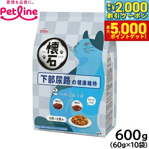 yX|Cgő46{I1118IzybgC  2̂ق Lbgt[h AȞNێ 600gi60g×10j Y L