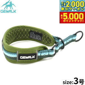 yX|Cgő46{I1118IzWEH[N GEWALK n[t`[Niցj 3 O[