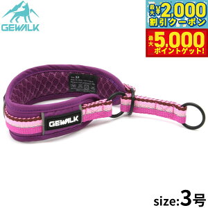 yX|Cgő46{I1118IzWEH[N GEWALK n[t`[Niցj 3 p[v