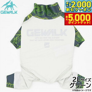 yX|Cgő46{I1118IzWEH[N GEWALK [t vg }CiX t[WO p[X 2L O[  hbOEFA ybgEFA