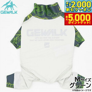 yő2000~OFFN[||Cg+5{zWEH[N GEWALK [t vg }CiX t[WO p[X M O[  hbOEFA ybgEFA