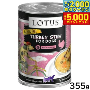 yő2000~OFFN[||Cg+5{z[^X hbOt[h OCt[ EFbgt[h ^[L[ V`[ 355g Y ʋl