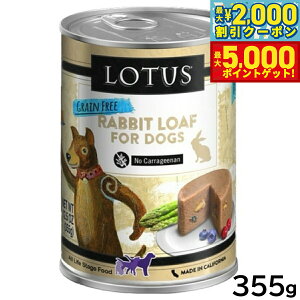 yő2000~OFFN[||Cg+5{z[^X hbOt[h OCt[ EFbgt[h rbg [t 355g Y ʋl