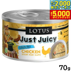 yő2000~OFFN[||Cg+5{z[^X Lbgt[h OCt[ EFbgt[h `L V`[ 70g Y ʋl