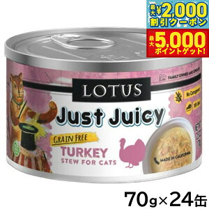 yő2000~OFFN[||Cg+5{z[^X Lbgt[h OCt[ EFbgt[h ^[L[ V`[ 70g×24ʃZbgyz Y ʋl