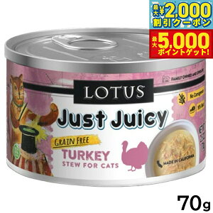 yő2000~OFFN[||Cg+5{z[^X Lbgt[h OCt[ EFbgt[h ^[L[ V`[ 70g Y ʋl