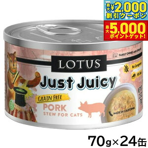 yő2000~OFFN[||Cg+5{z[^X Lbgt[h OCt[ EFbgt[h |[N V`[ 70g×24ʃZbgyz Y ʋl