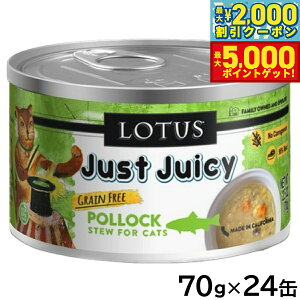 yő2000~OFFN[||Cg+5{z[^X Lbgt[h OCt[ EFbgt[h |bN V`[ 70g×24ʃZbgyz Y ʋl