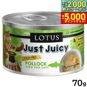 yő2000~OFFN[||Cg+5{z[^X Lbgt[h OCt[ EFbgt[h |bN V`[ 70g Y ʋl