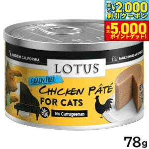 yő2000~OFFN[||Cg+5{z[^X Lbgt[h OCt[ EFbgt[h `Lpe 78g Y ʋl