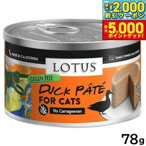 yő2000~OFFN[||Cg+5{z[^X Lbgt[h OCt[ EFbgt[h _bNpe 78g Y ʋl