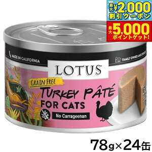 yő2000~OFFN[||Cg+5{z[^X Lbgt[h OCt[ EFbgt[h ^[L[pe 78g×24ʃZbgyz Y ʋl