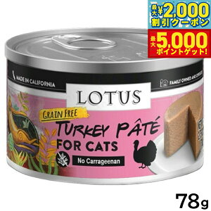 yő2000~OFFN[||Cg+5{z[^X Lbgt[h OCt[ EFbgt[h ^[L[pe 78g Y ʋl