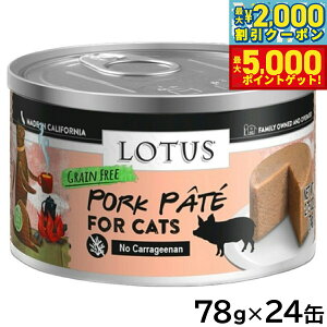 yő2000~OFFN[||Cg+5{z[^X Lbgt[h OCt[ EFbgt[h |[Npe 78g×24ʃZbgyz Y ʋl