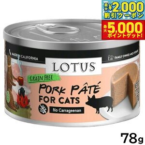 yő2000~OFFN[||Cg+5{z[^X Lbgt[h OCt[ EFbgt[h |[Npe 78g Y ʋl