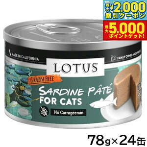 yő2000~OFFN[||Cg+5{z[^X Lbgt[h OCt[ EFbgt[h T[fBpe 78g×24ʃZbgyz Y ʋl