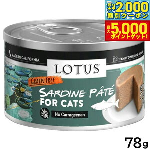 yő2000~OFFN[||Cg+5{z[^X Lbgt[h OCt[ EFbgt[h T[fBpe 78g Y ʋl