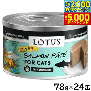 yő2000~OFFN[||Cg+5{z[^X Lbgt[h OCt[ EFbgt[h T[pe 78g×24ʃZbgyz Y ʋl