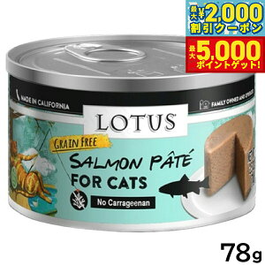 yő2000~OFFN[||Cg+5{z[^X Lbgt[h OCt[ EFbgt[h T[pe 78g Y ʋl