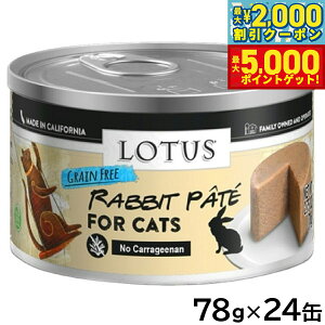 yő2000~OFFN[||Cg+5{z[^X Lbgt[h OCt[ EFbgt[h rbgpe 78g×24ʃZbgyz Y ʋl