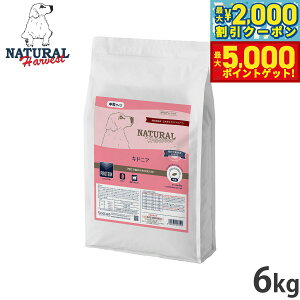 yő2000~OFFN[||Cg+5{zi`n[xXg hbOt[h LhjA tapHÖ@H 6kgyz Y p {p