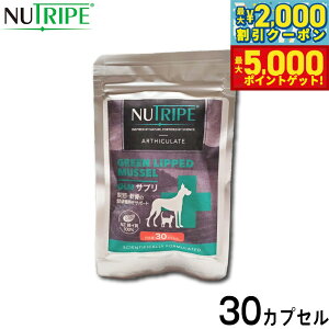 yő2000~OFFN[||Cg+5{zj[gCv Tvg GLMTv 30JvZ ORT~ RhC` ֐ ΃CL