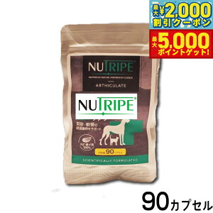 yő2000~OFFN[||Cg+5{zj[gCv Tvg GLMTv 90JvZyz ORT~ RhC` ֐ ΃CL