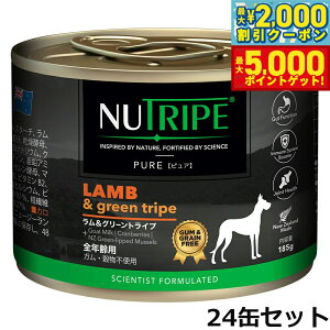 yő2000~OFFN[||Cg+5{zj[gCv hbOt[h EFbg sA O[gCv 185g×24ʁyz NUTRIPE Y ʋl h{H sgp 