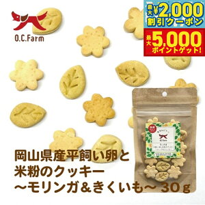 yő2000~OFFN[||Cg+5{zI[V[t@[ pƕĕ̃NbL[ KLNC 30g Y Y