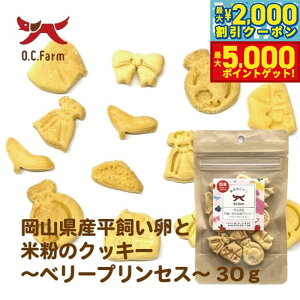 yő2000~OFFN[||Cg+5{zI[V[t@[ p ƕĕ̃NbL[ x[vZX 30g Y Y