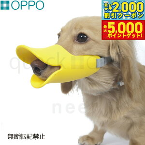 yő2000~OFFN[||Cg+5{zOPPO quackiNAbNj MTCY pi ցi݂ ʖih~j/GUxXJ[