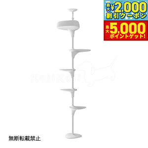 yő2000~OFFN[||Cg+5{zyr[TzOPPO Ib| Lbg^[ ˂ X ȃXy[X LbgtHXg c[ CatForest-2  zCg L lRp