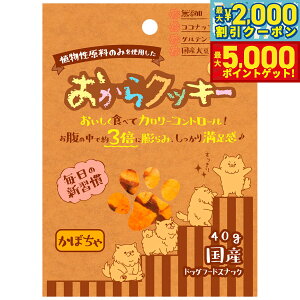 yő2000~OFFN[||Cg+5{zybc[g NbL[ ڂ 40g   Y Y  J[ Oet[ H@ Ă