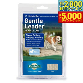 【最大2000円OFFクーポン＆ポイントさらに+5倍】ペットセーフ ジェントルリーダー ヘッドカラー クイックリリース S【送料無料】