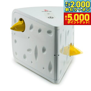 yő2000~OFFN[||Cg+5{zybgZ[t t[[Lbg `[Yyz