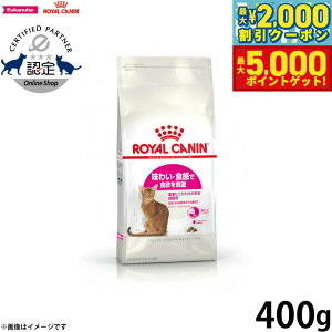 yő2000~OFFN[||Cg+5{zCJi L Lbgt[h ZCo[GNVWFgi AWCj400g Ki Lpi/˂ObY/ybgObY/ybgpi