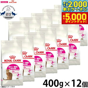 yő2000~OFFN[||Cg+5{zCJi L Lbgt[h ZCo[GNVWFgi AWCj 400g×12 Ki Lpi/˂ObY/ybgObY/ybgpi 