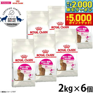 yő2000~OFFN[||Cg+5{zCJi L Lbgt[h ZCo[GNVWFgi AWCj 2kg×6 Ki Lpi/˂ObY/ybgObY/ybgpi