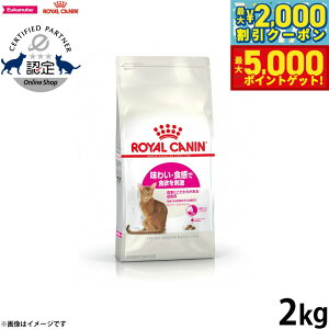 yő2000~OFFN[||Cg+5{zCJi L Lbgt[h tB[CwXj[gV ZCo[GNVWFg 2kg Ki 킢EHɂLpt