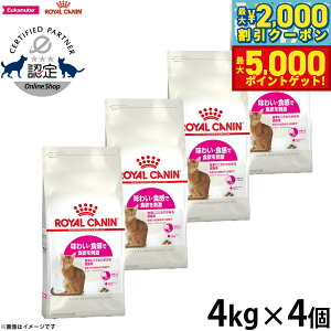 yő2000~OFFN[||Cg+5{zCJi L Lbgt[h tB[CwXj[gV ZCo[GNVWFg 4kg×4 Ki 킢EHɂL