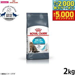 yő2000~OFFN[||Cg+5{zCJi L Lbgt[h tB[CPAj[gV i[PA 2kg Ki NȔAێLpt[h Lp