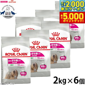 yő2000~OFFN[||Cg+5{zCJi  hbOt[h P[iCPAj[gV ~j GNVWFg 2kg×6 Ki HɍD錢p ^p 