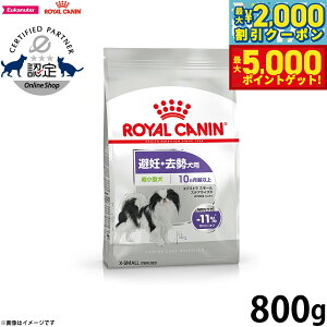 yő2000~OFFN[||Cg+5{zCJi  hbOt[h P[iCPAj[gV GNXg X[ XeACYh 800g Ki D p ^