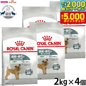 yő2000~OFFN[||Cg+5{zCJi  hbOt[h P[iCPAj[gV ~j f^PA 2kg×4 Ki CE΂CɂȂ錢p ^p 