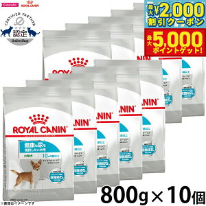 yő2000~OFFN[||Cg+5{zCJi  hbOt[h P[iCPAj[gV ~j i[PA 800g×10 Ki NȔAێp ^