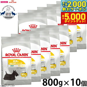 yő2000~OFFN[||Cg+5{zCJi hbOt[h P[iCPA ~j _[}RtH[g 800g×10 p 畆̌Nێp 10ȏ ^