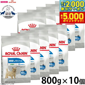 yX|Cgő46{I1118IzCJi  hbOt[h P[iCPAj[gV ~j Cg EFCg PA 800g×10 Ki ʂp ^p `