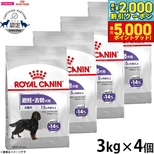 yő2000~OFFN[||Cg+5{zCJi  hbOt[h P[iCPAj[gV }LV XeACYh 3kg×4 Ki D p ^p `